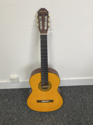 Blue moon acoustic guitar - moon,