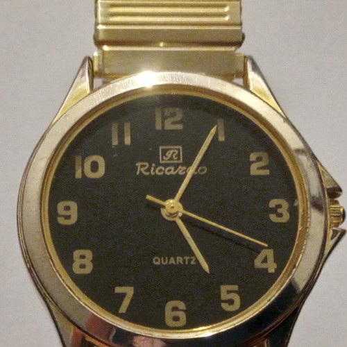 Unisex adult used ricardo - adult,