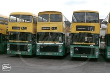 Bus Photo - Greater Glasgow