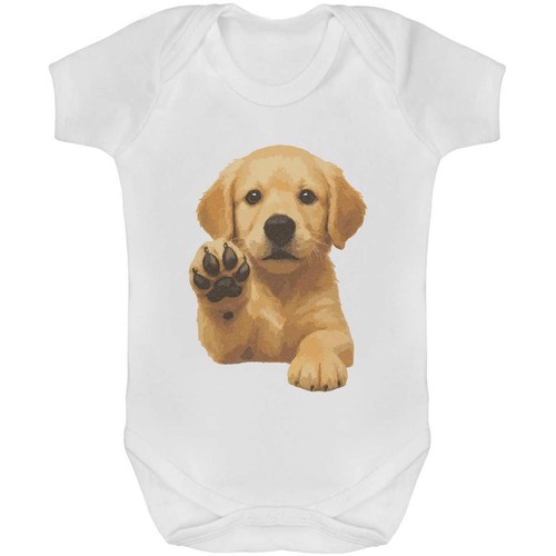 Golden retriever puppy baby - 'golden,