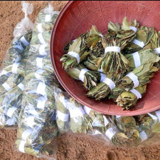 1500+ Dried Soursop Leaves