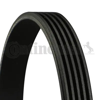 Ribbed belt fits - belt, fits: