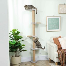 Wall Mounted Cat Shelves with