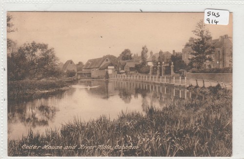 Cobham surrey cedar house - cobham,