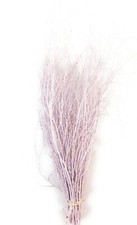 Decorative Coloured Birch