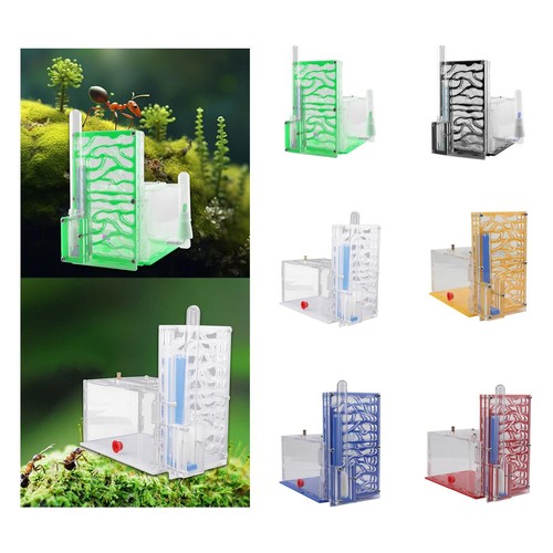 Ant nest acrylic farm - nest,