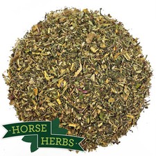 Horse Herbs Respiratory