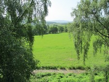 Photo A2 Pasture land by the