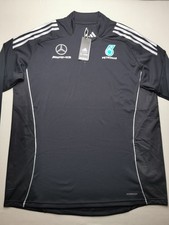 AMG MERCEDES PETRONAS F1 Size