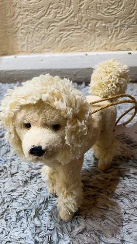 French poodle dog white time - french,