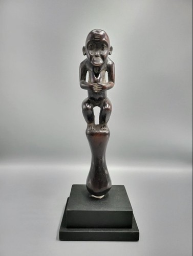 Singe cameroon african - singe,