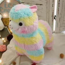  Rainbow Arpakasso Alpacasso