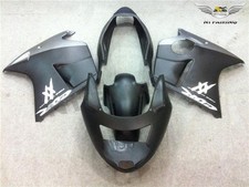 FL Plastic Injection Black Fairing ABS Fit for Honda 1996-2007 CBR1100XX s010
