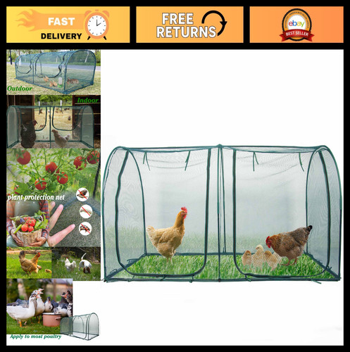 Portable chicken run - run, hen