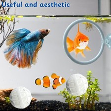 Betta Training Ring Suction