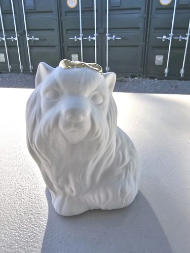 Avery home yorkshire terrier - home,