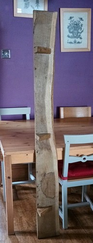 Rustic wooden waney - rustic,
