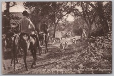 Devon & Somerset Staghounds up