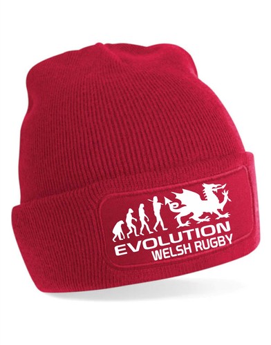 Evolution welsh rugby - of,