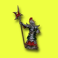 💥 Dark Elves Black Guard