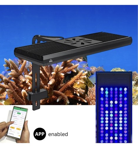 Marine reef led aquarium - marine, light