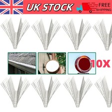 10M Pigeon Birds Spikes Metal