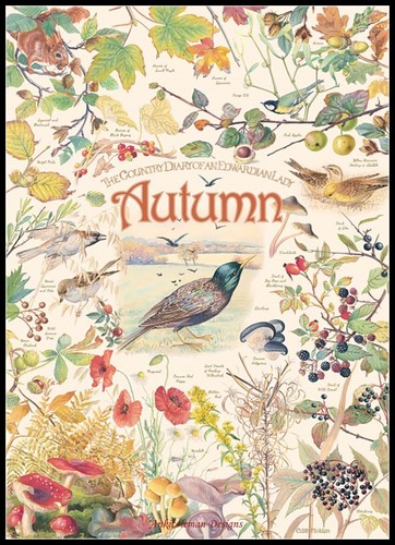 Country diary autumn chart - diary,