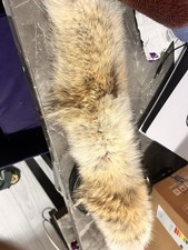 Canada Goose Coyote Fur Trim