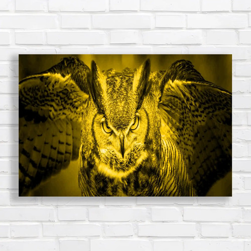 Stunning great horned - great, owl