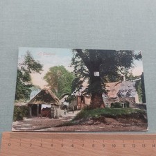 Vintage Postcard At Studland