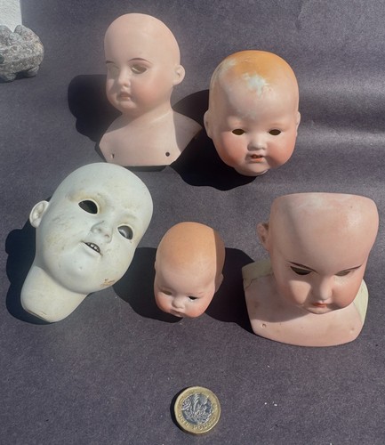Antique bisque dolls heads - x,