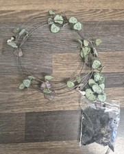 String of Hearts plant |