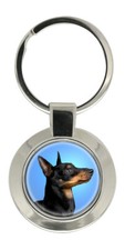 English Toy Terrier (Black &