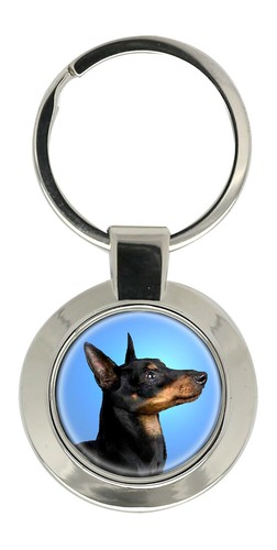 English toy terrier black - toy, &