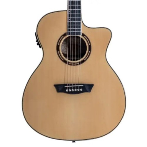Washburn apprentice ag70ce - washburn,