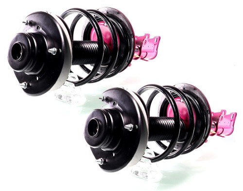 Gas complete struts - 2x,