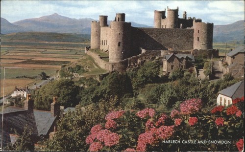Salmon postcard harlech - postcard,