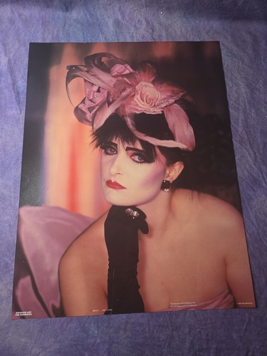 Siouxsie and the banshees - and,