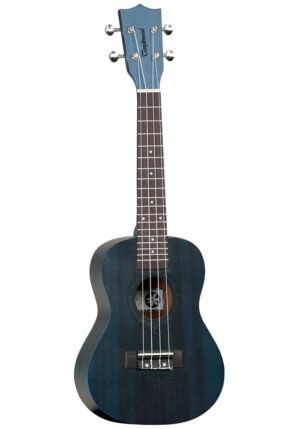 Tanglewood concert ukulele - concert,