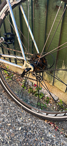 Kalkhoff men racing - racing, bike