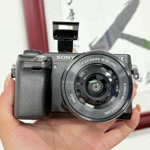 Sony nex 1mp aps - sony, nex-6