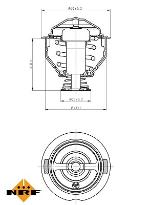 Rtg thermostat coolant fits - fits, a3