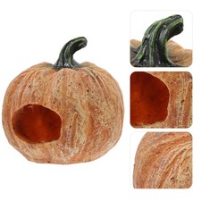  Reptile Tank Accessories