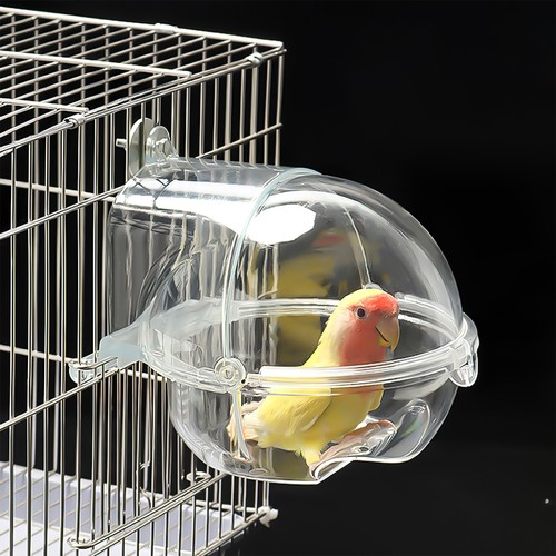 Parakeet bath tub cockatiel - parakeet,