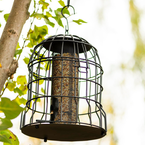 Premium squirrel proof peanut - premium,