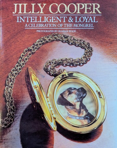 Intelligent loyal a - intelligent, &