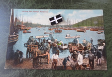 Landing Fish Newlyn Penzance