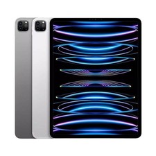 Apple iPad Pro 11" 4th Gen