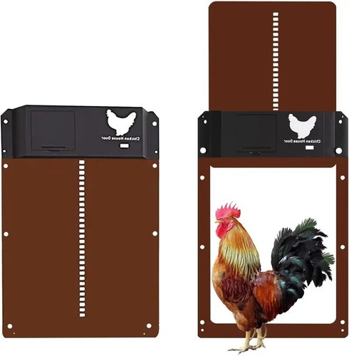 Automatic chicken coop - chicken, door