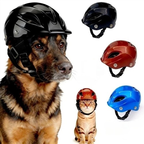 Dog helmet pet motorcycle - helmet,